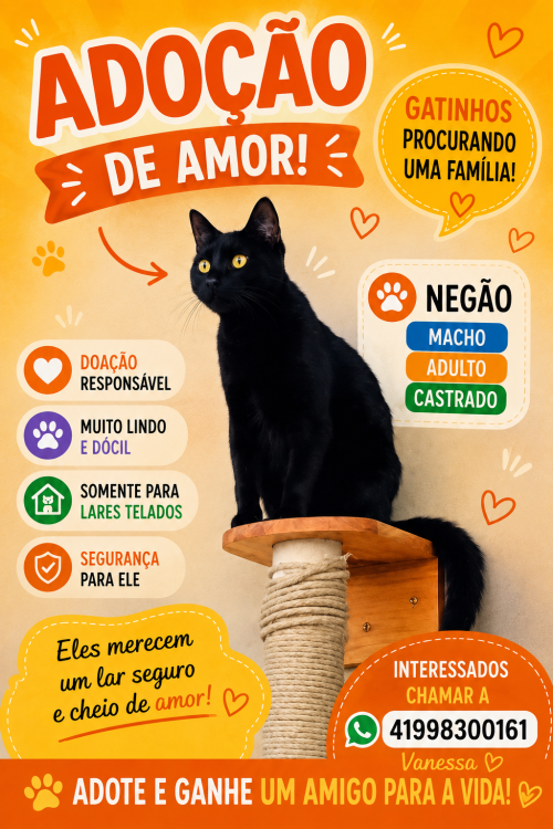 negao-adulto-charmoso-adocao-doacao-cachorro-gato-0