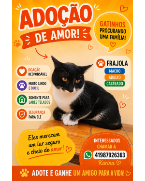 Frajola adulto tímido