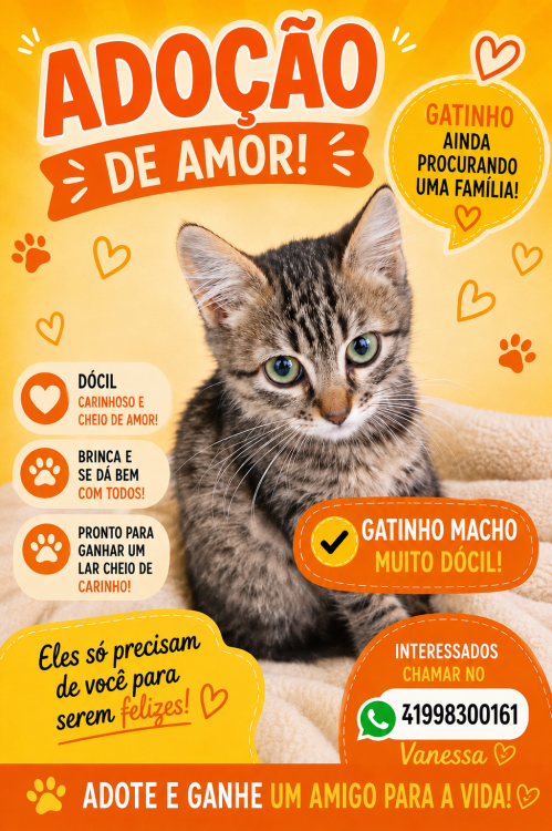 tigrinho-filhote-adocao-doacao-cachorro-gato-0