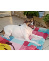 mel-para-adocao-small-0