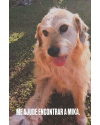 mika-procurada-santa-felicidade-small-1