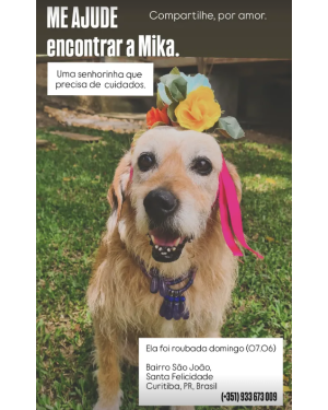 Mika - PROCURADA SANTA FELICIDADE