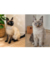 marilia-e-marie-small-0