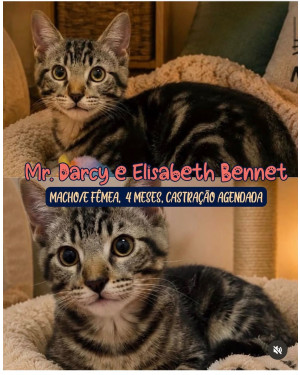 Mr Darcy e Elisabeth Bennet