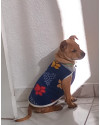 adocao-responsavel-small-0