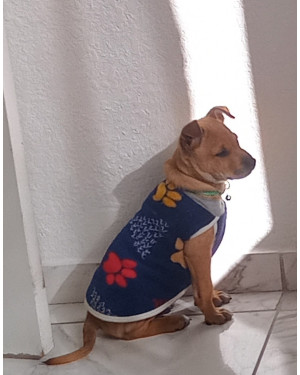 Adoção Responsável