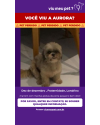 me-ajude-a-encontrar-a-aurora-small-1