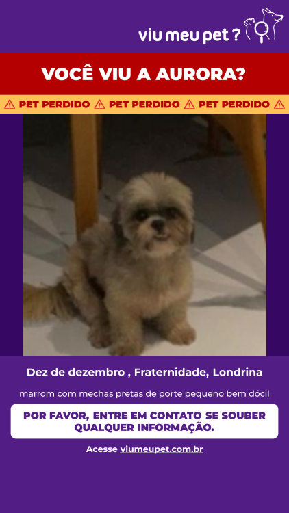 me-ajude-a-encontrar-a-aurora-adocao-doacao-cachorro-gato-1
