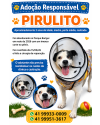 pirulito-o-pirata-mais-lindo-da-cidade-small-2