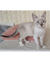 zeus-small-0