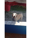 encontrado-no-atuba-small-0