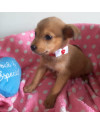 doce-miami-small-4