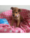 doce-miami-small-3