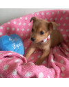 doce-miami-small-2