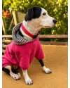 dora-small-3