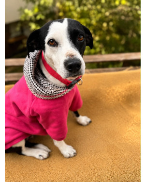 Dora