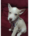antonela-filhote-small-0