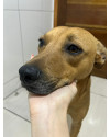 bianca-small-2