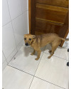 bianca-small-3