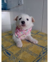 clarinha-filhote-small-1