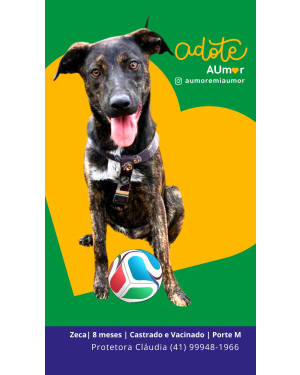 Zeca