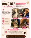 gama-so-se-pode-gamar-small-4