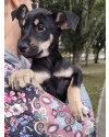 adote-dembele-small-3