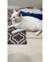 doacao-responsavel-small-1