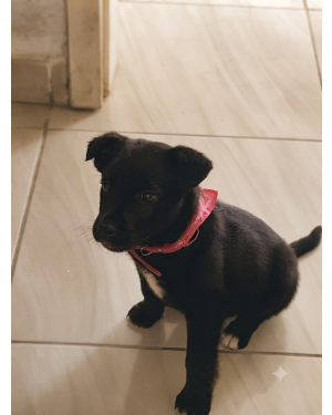 Doando minha aluna