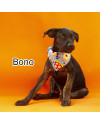 se-carinho-pudesse-ganhar-uma-forma-ela-seria-o-bono-small-1
