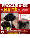 vc-viu-a-maite-small-0