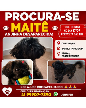 Vc viu a Maitê?