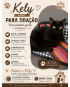 adote-a-kely-small-2