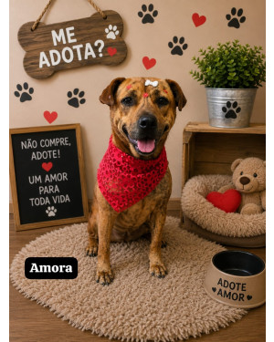 Amora
