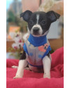 samuel-o-manhoso-small-1