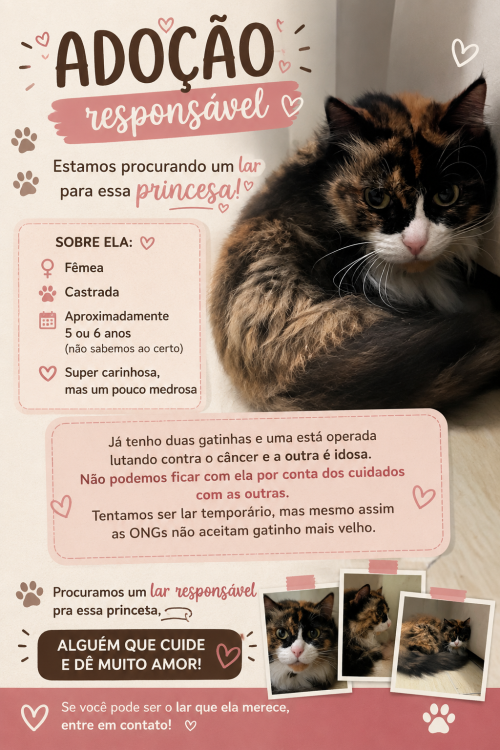 adocao-responsavel-adocao-doacao-cachorro-gato-0