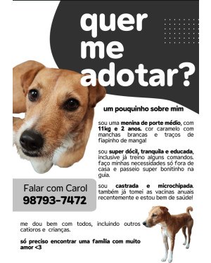 CARAMELA FIAPINHO PROCURA UM LAR!