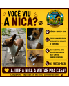 procura-se-nica-small-0
