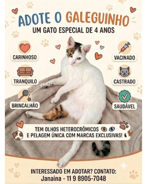 Adote o Galeguinho