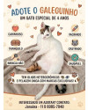 adote-o-galeguinho-small-1