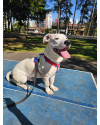 zeus-o-animado-small-0