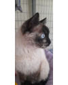 sharon-small-2