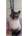 sharon-small-1