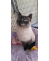 sharon-small-3