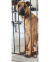 pablo-escobar-esta-buscando-un-nuevo-hogar-small-1