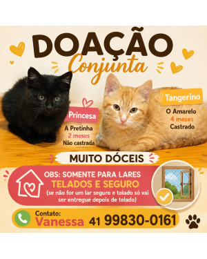 Princesa e Tangerino doação conjunta