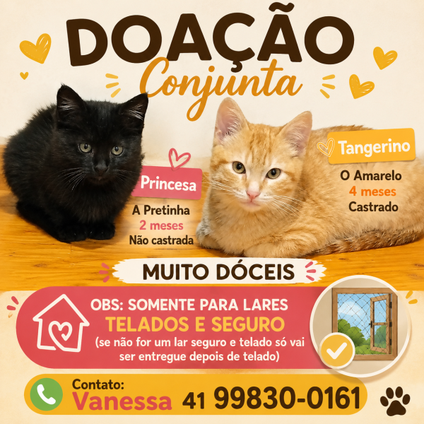 princesa-e-tangerino-doacao-conjunta-adocao-doacao-cachorro-gato-0