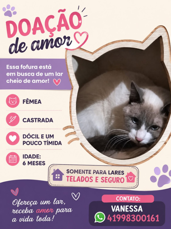 linda-adocao-doacao-cachorro-gato-0