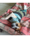 querida-adelaide-small-4