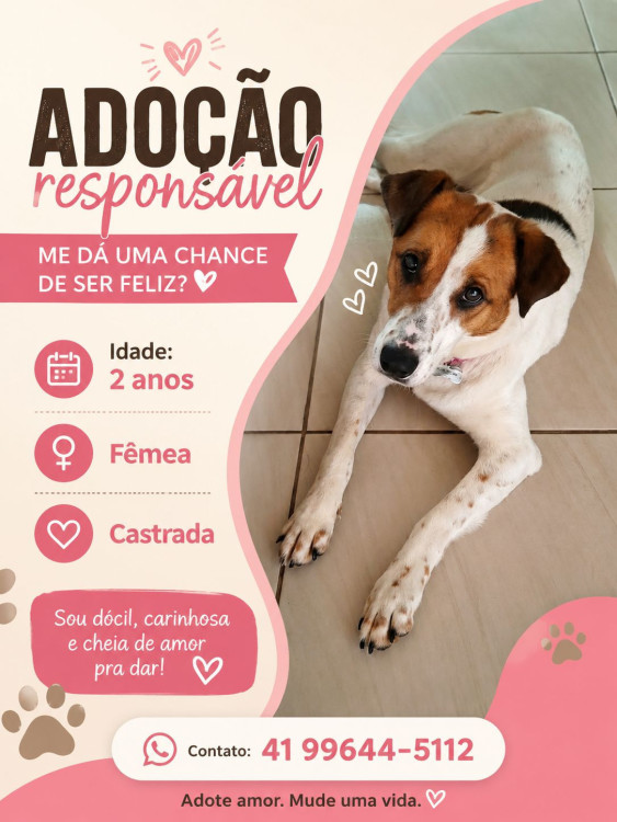 sofia-adocao-doacao-cachorro-gato-0